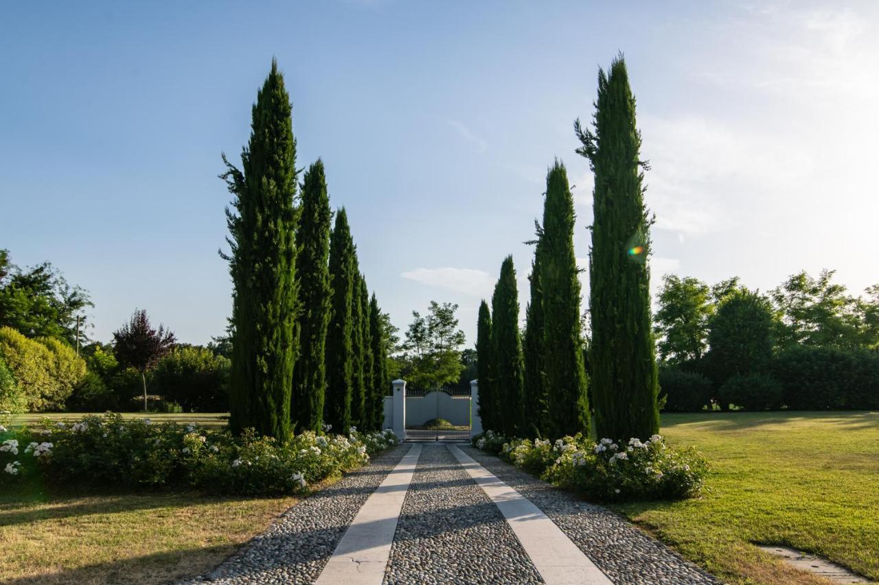 Villa San Pietro Desenzano del Garda Exterior foto