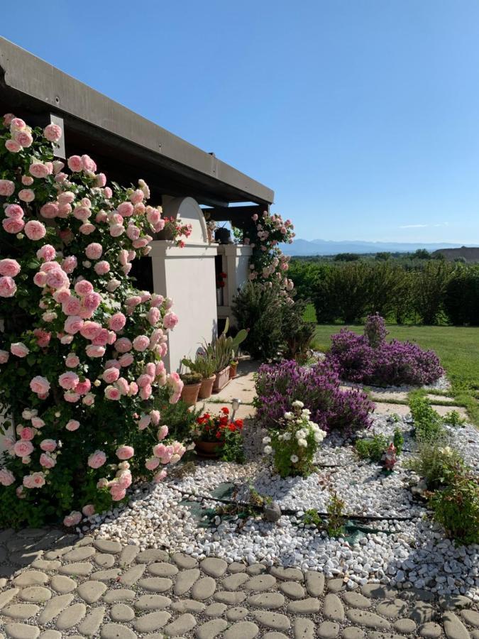 Villa San Pietro Desenzano del Garda Exterior foto