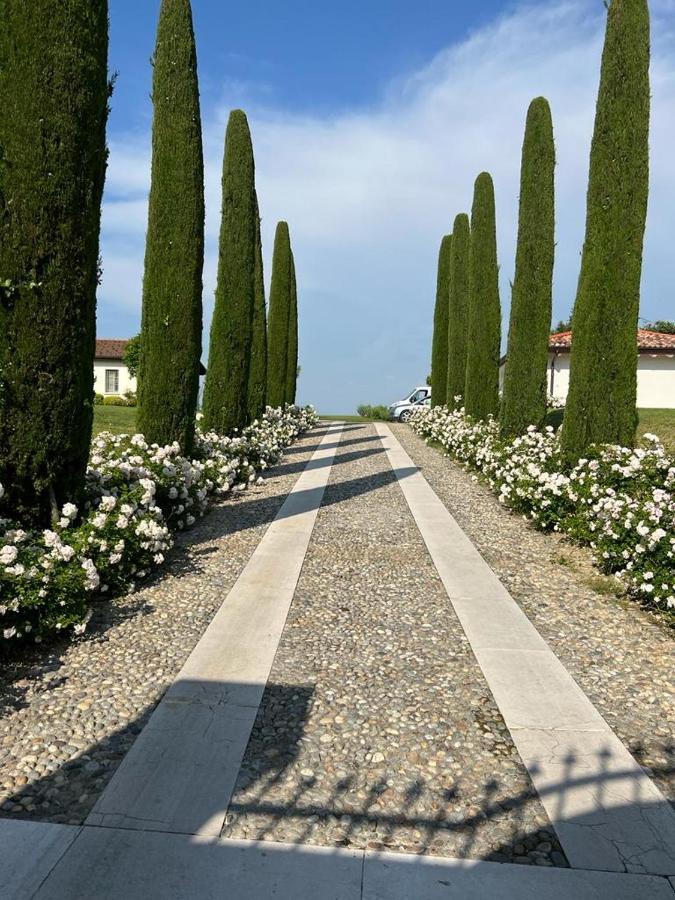 Villa San Pietro Desenzano del Garda Exterior foto